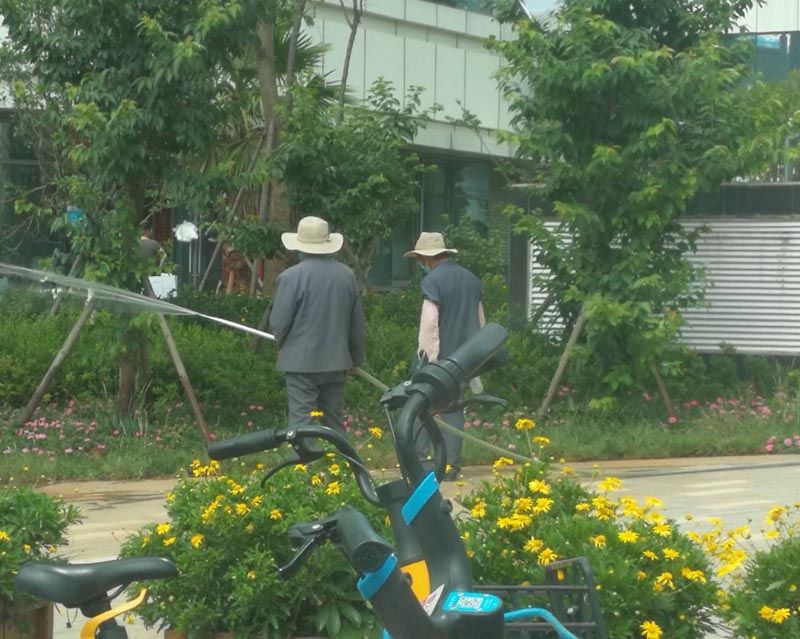 綠化管理服務